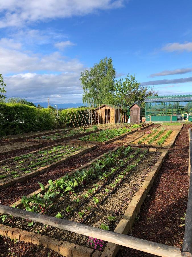 Coltivare Agrirelais La Morra Bagian luar foto